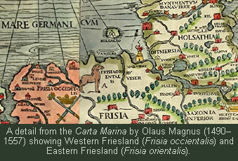 A detail from the Carta Mrina by Olaus Magnus (1490-1557) showing Western Friesland and Eastern Friesland