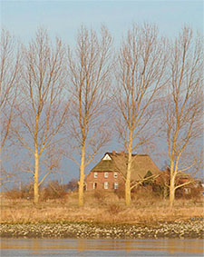 A
            thatched farmhouse at Balje